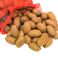 In Shell Desirable Mammoth Pecans