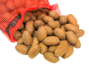 5 LBS IN-SHELL DESIRABLE MAMMOTH PECANS